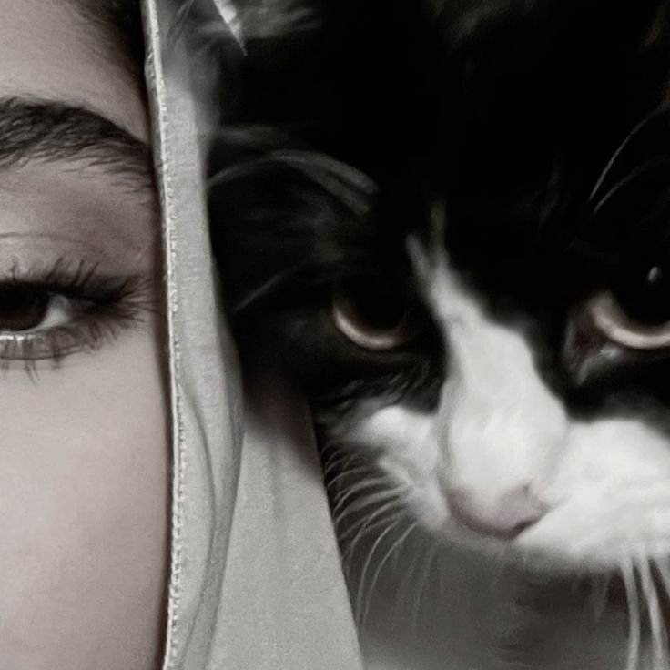 ИƯＴᥱ֟፝ℓℓα˚🍡❼⁹¹³